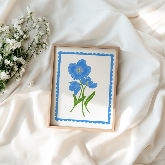 Himalayan Poppy Art Print